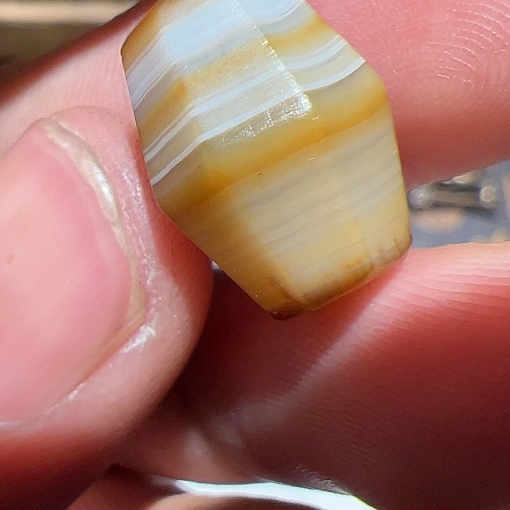 香榧木在家了一个小时