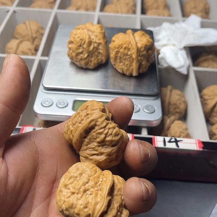 志***趋大叶紫檀（黑酸枝木类）