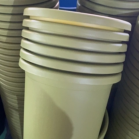 树脂特价5号6个无托果绿