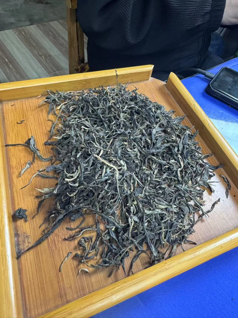 【60】2019年蛮砖桃子寨 生茶