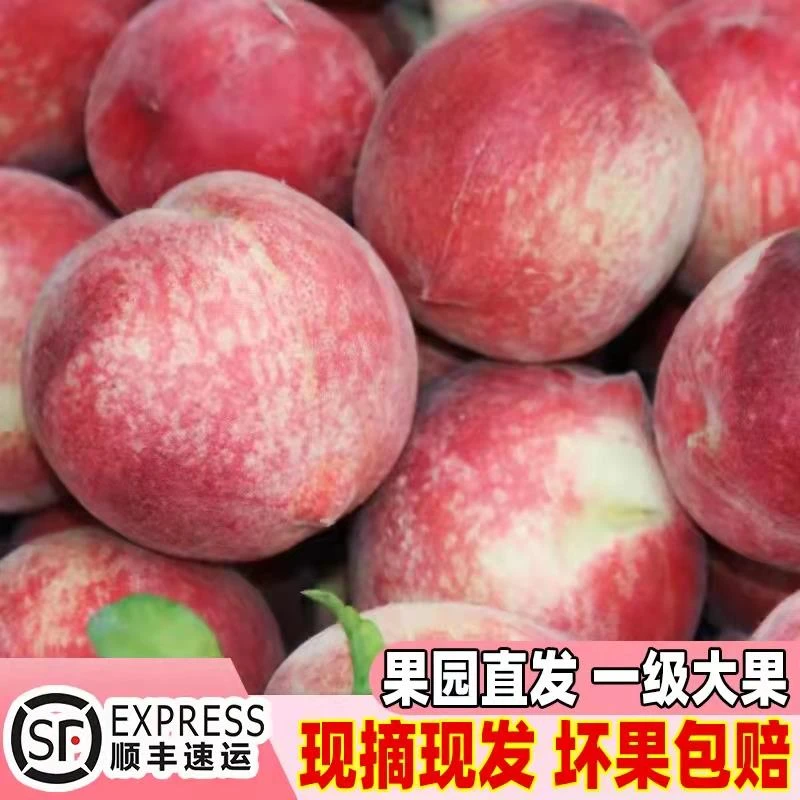 顺丰特大果云南丽江雪桃新鲜5斤脆甜冬桃子当季现摘金秋蜜水果