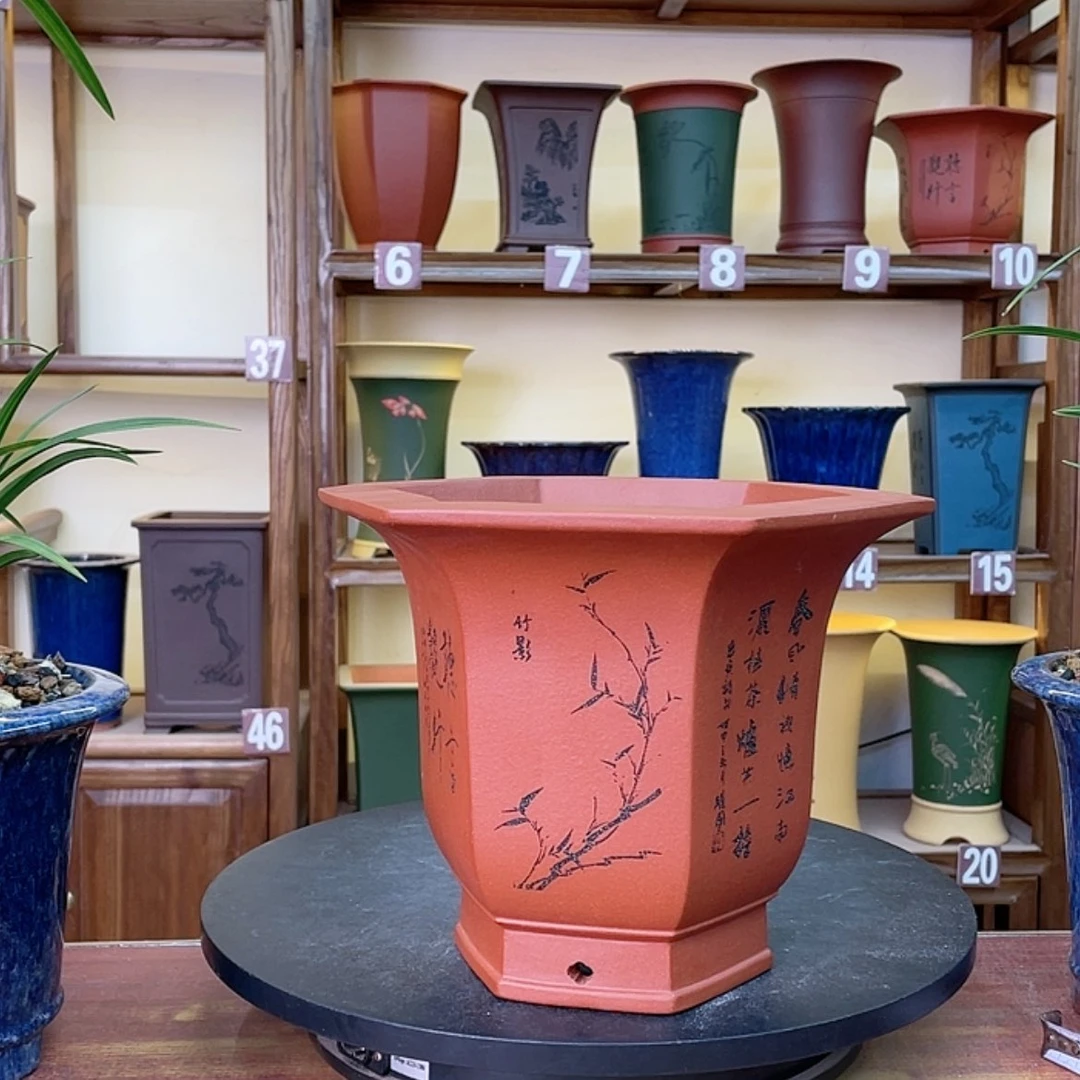 【闪购商品】紫砂花盆兰花5566955566556