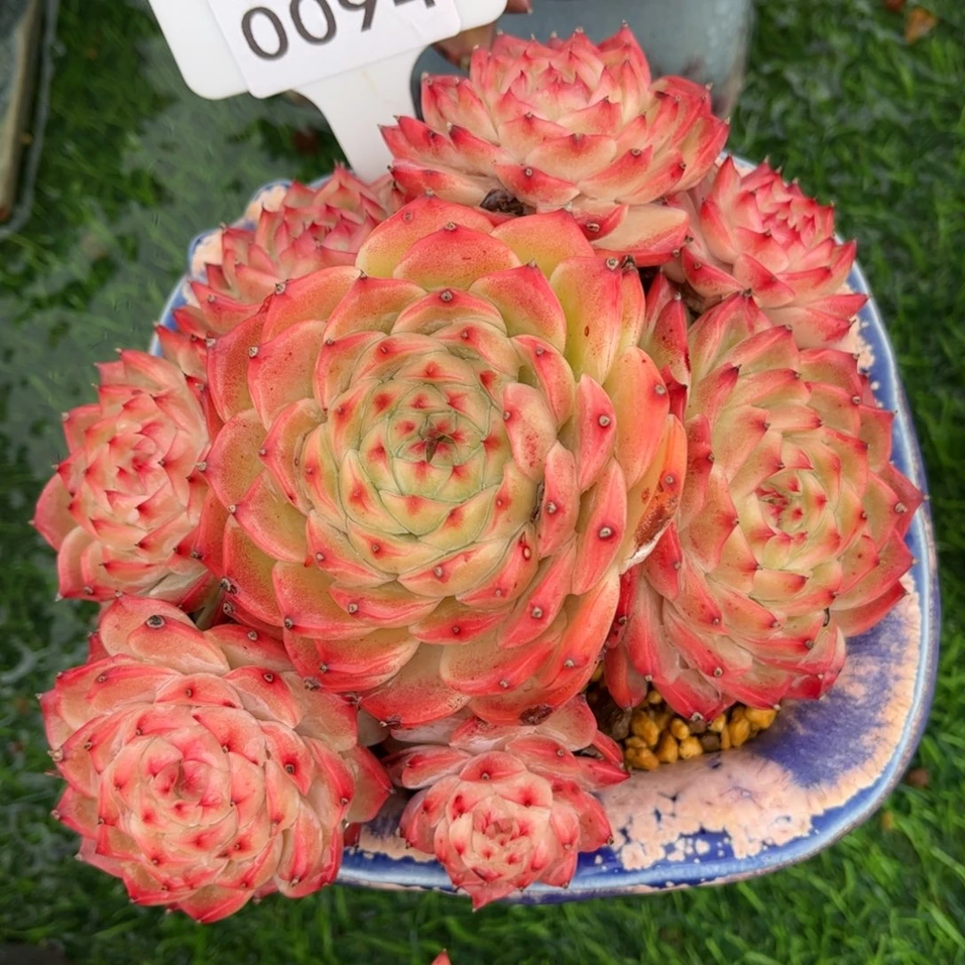 0094 满30包邮天冷地区必拍保温箱