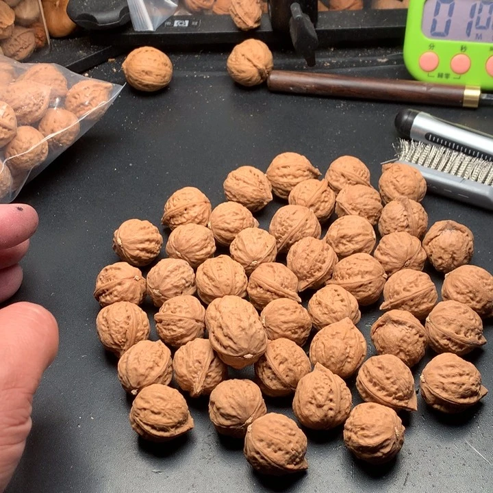 桃核吊坠卡*野生精品小核桃散籽