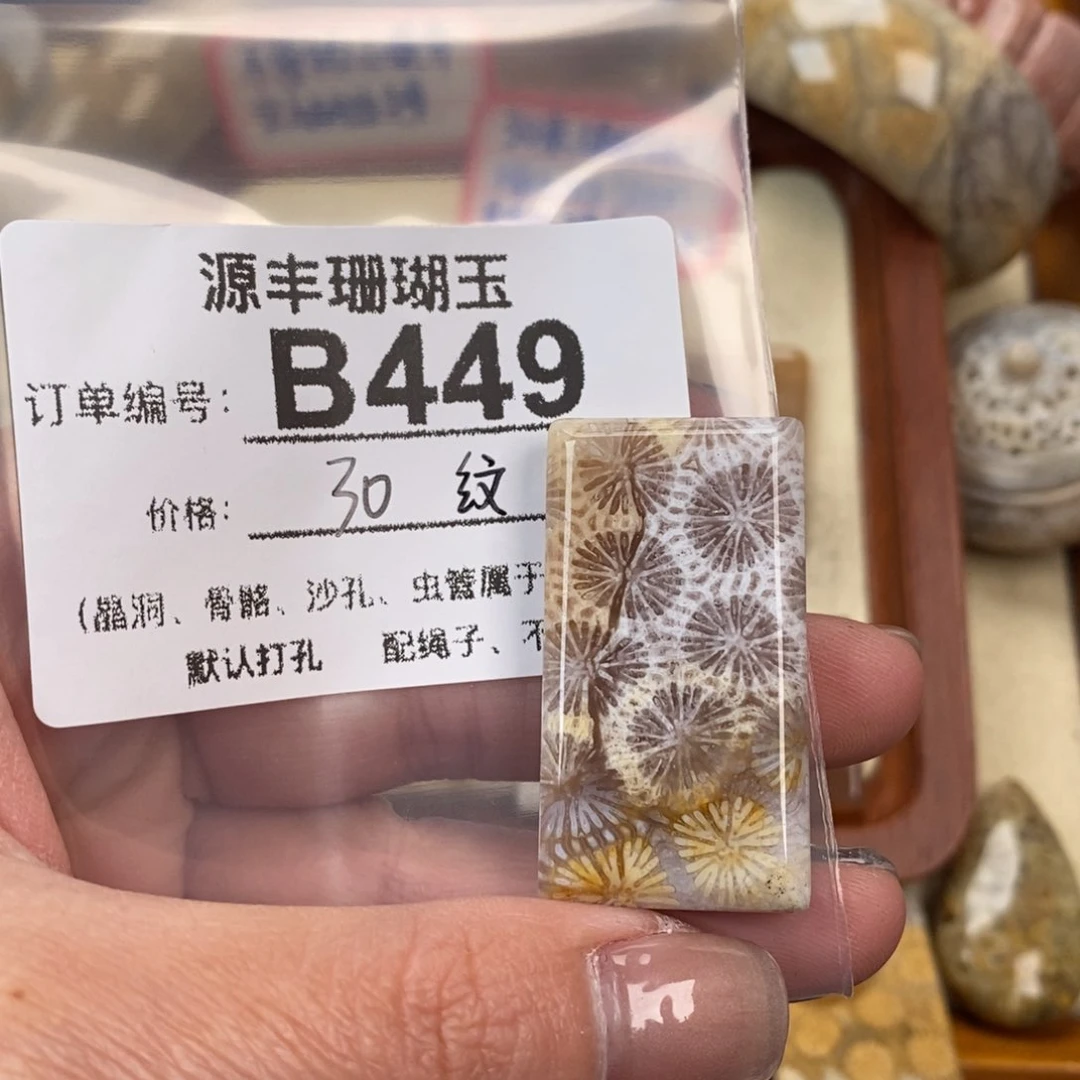 硅化玉颈饰未镶嵌G**a