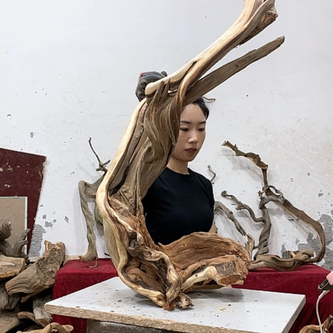 【闪购商品】柏木f***g我们都是好孩子