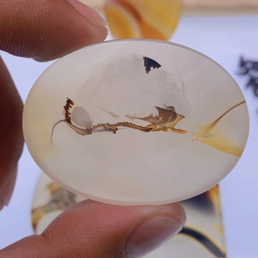 玛瑙/玉髓颈饰未镶嵌玮*