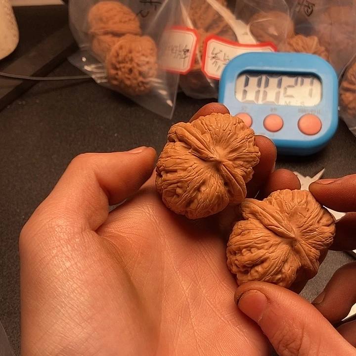 起***•55555555555555555555555