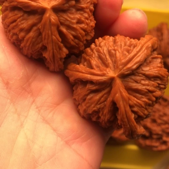 平***福核桃核桃咯核桃核桃
