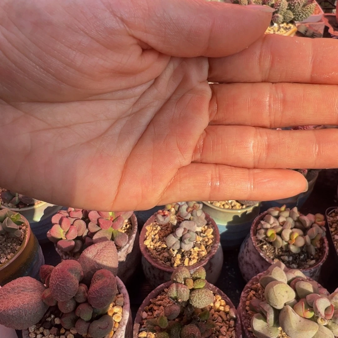 *****你在哪里上班的话告诉下他