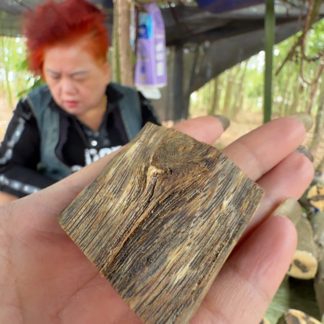 波***阔线香奇楠沉香原木