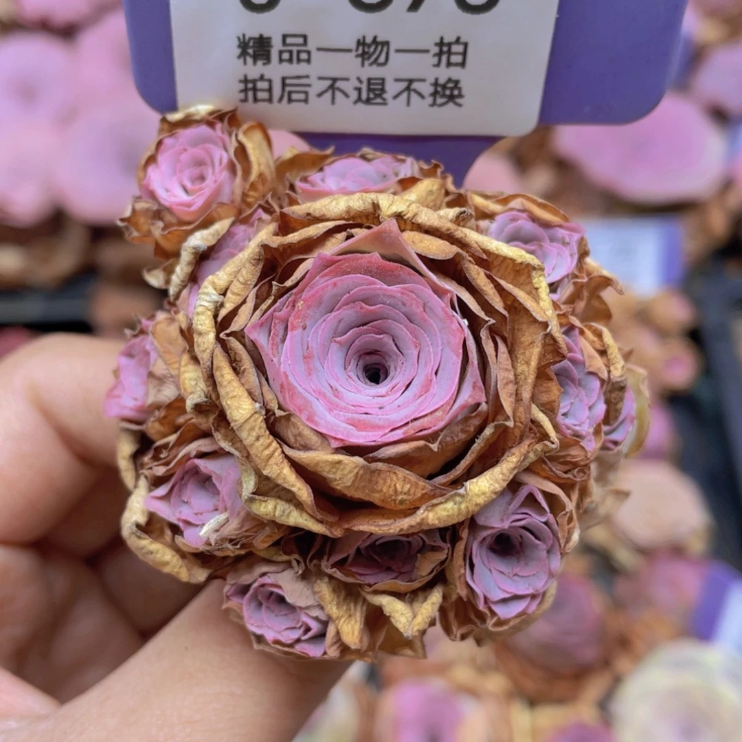 山地玫瑰J375满38包邮裸根发货