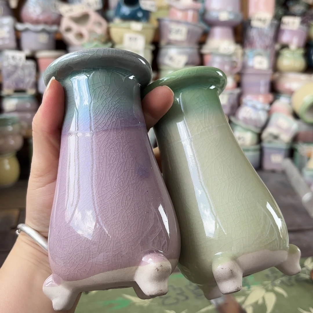 量货/口5.5高14深浅搭配发3