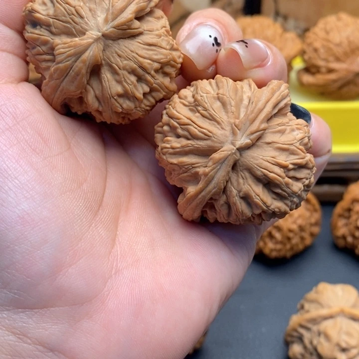 把件文玩核桃512白狮子43全品