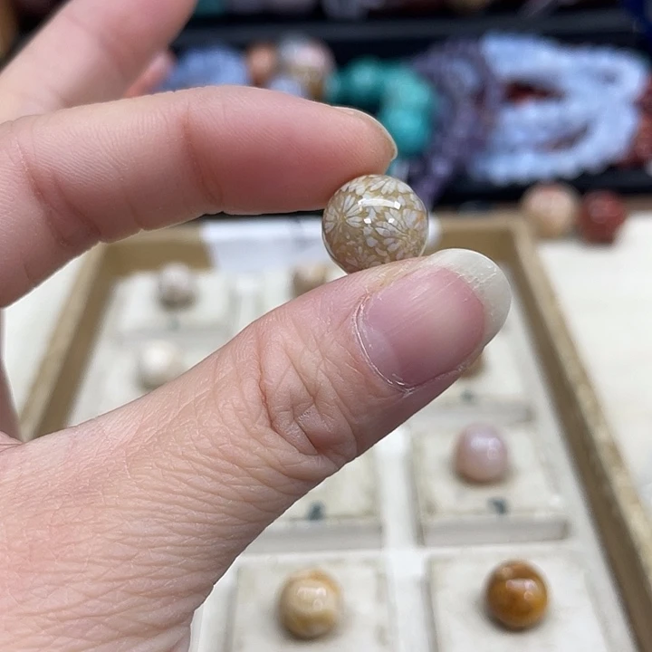 未镶嵌手串硅化珊瑚（珊瑚玉）聚**?423