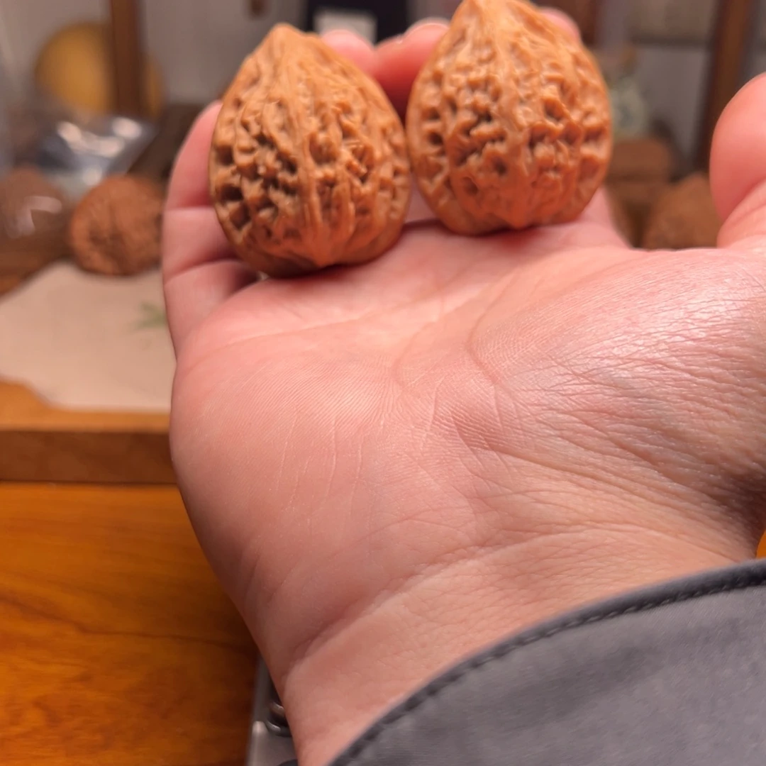 正***甲全品无修赤虎鸡心