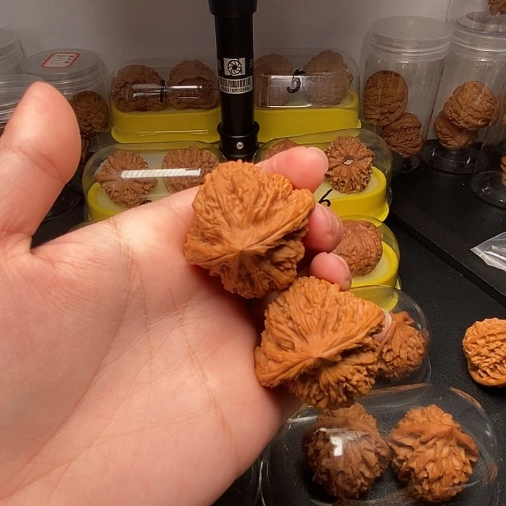 竹***马41南疆石