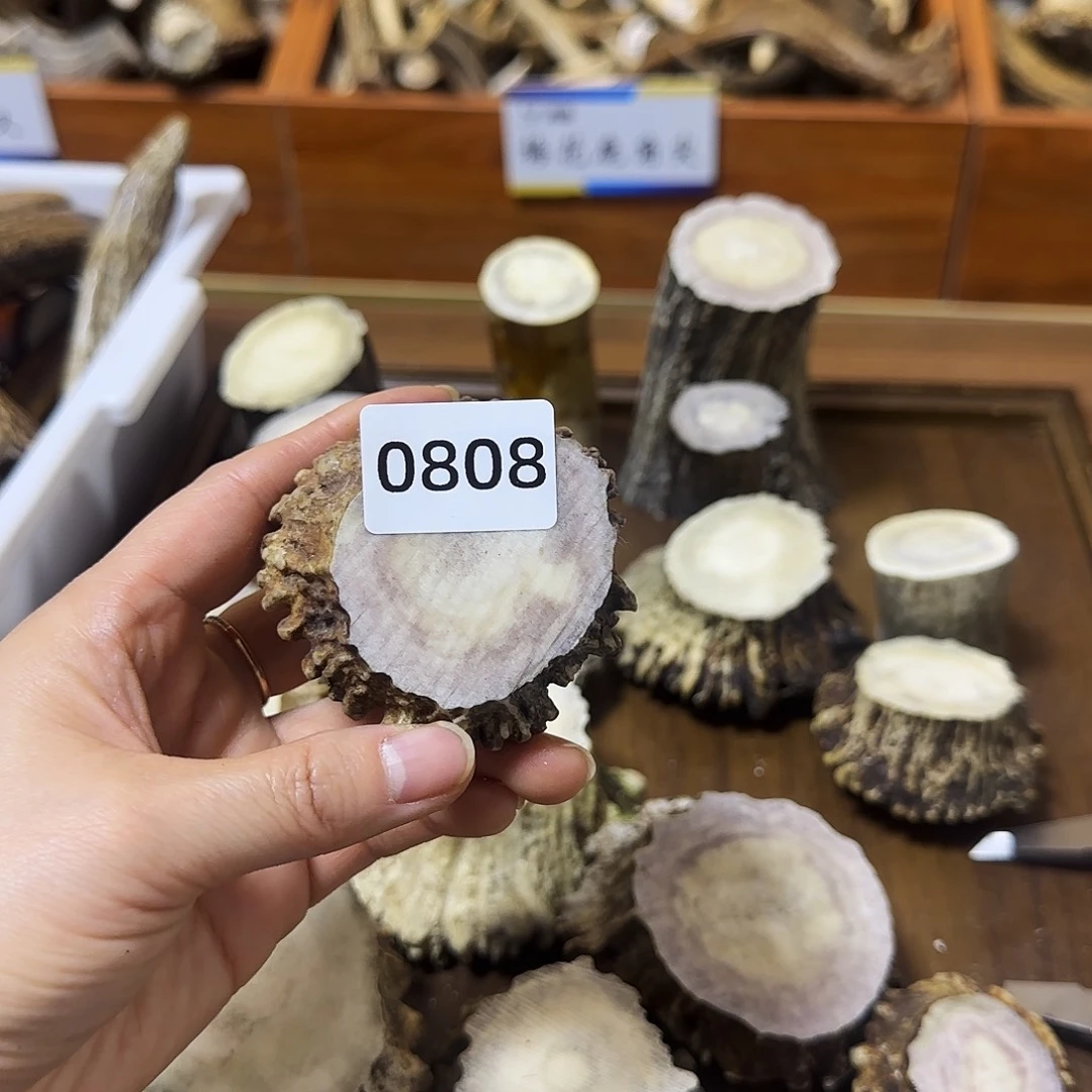 手串/手链鹿骨0808