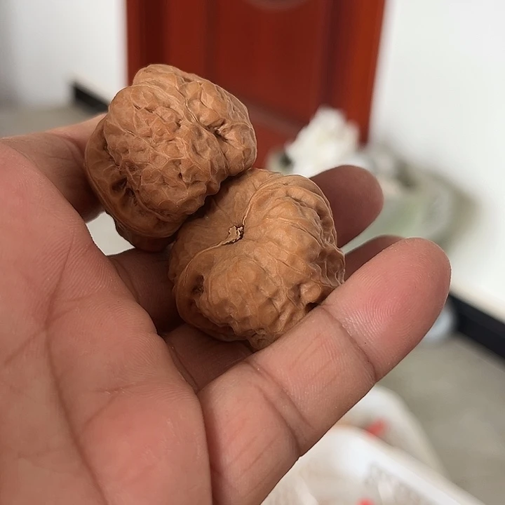 完全开放文玩核桃种子