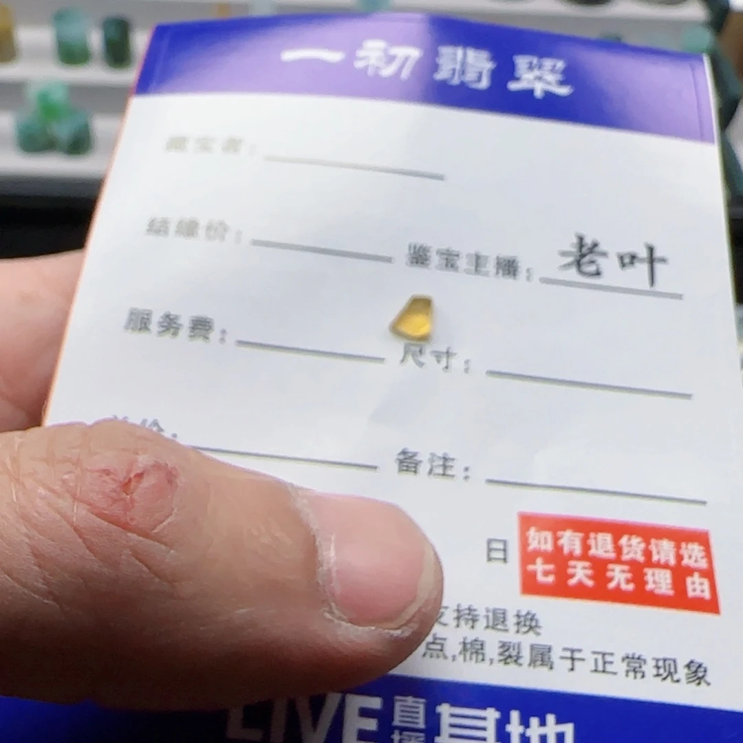 S***a颈饰未镶嵌翡翠789986433