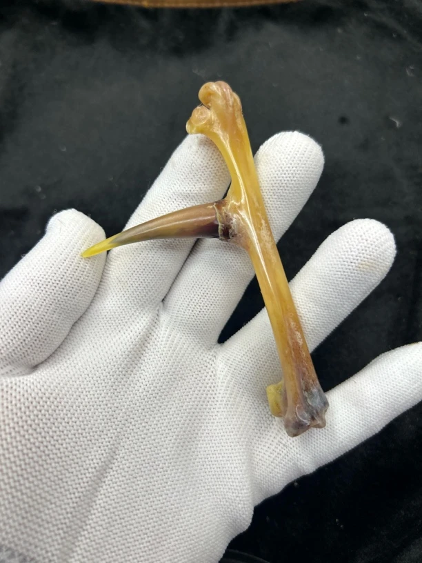 鸡爪骨鸡蹬子钥匙扣下单带油装饰手套
