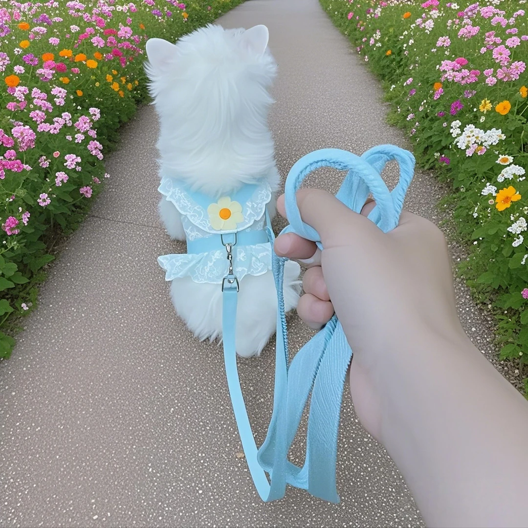 狗狗绳子背带式小狗狗秋季衣服牵引绳幼犬比熊泰迪出行遛狗安全绳