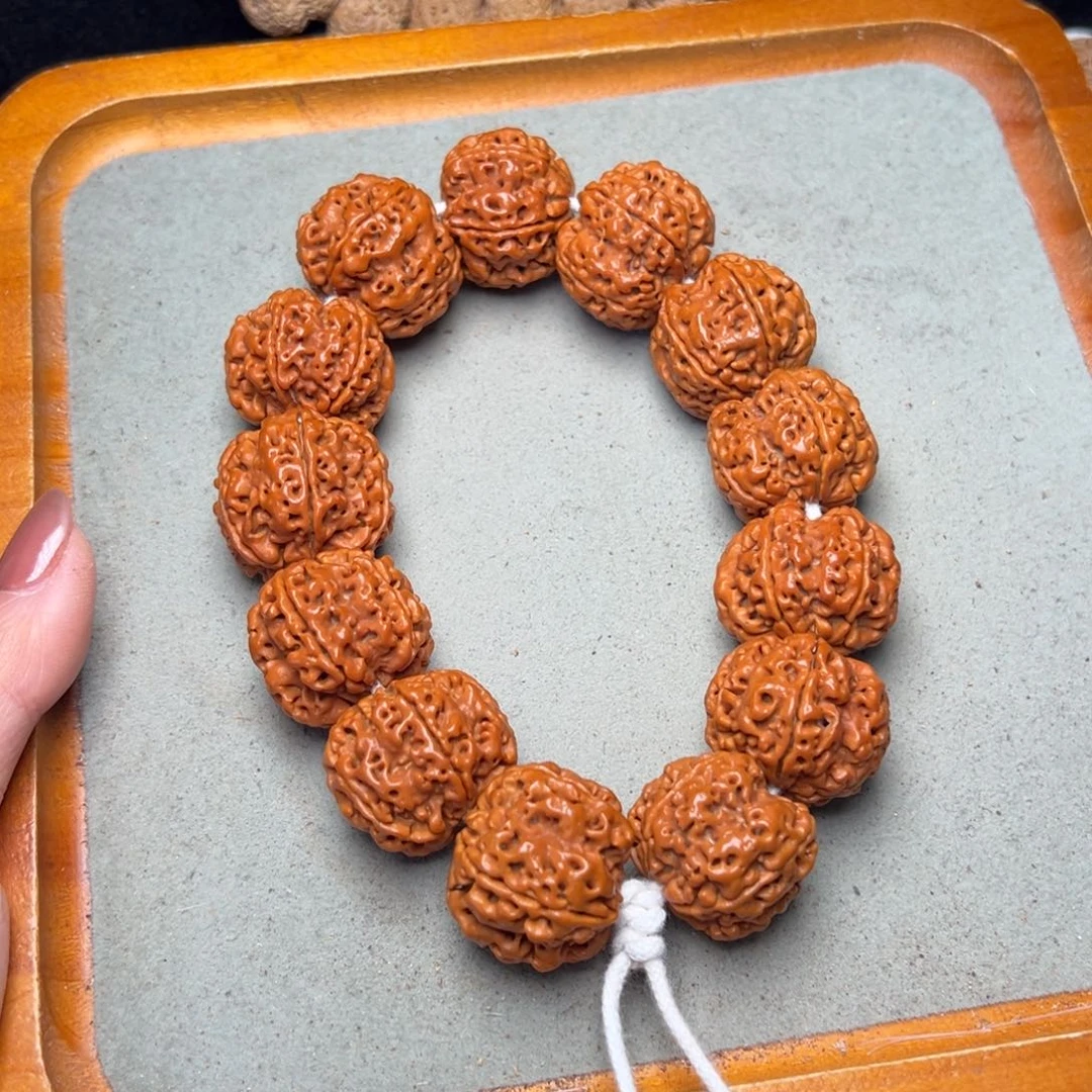 菩提6号金刚菩提蜂窝26.5