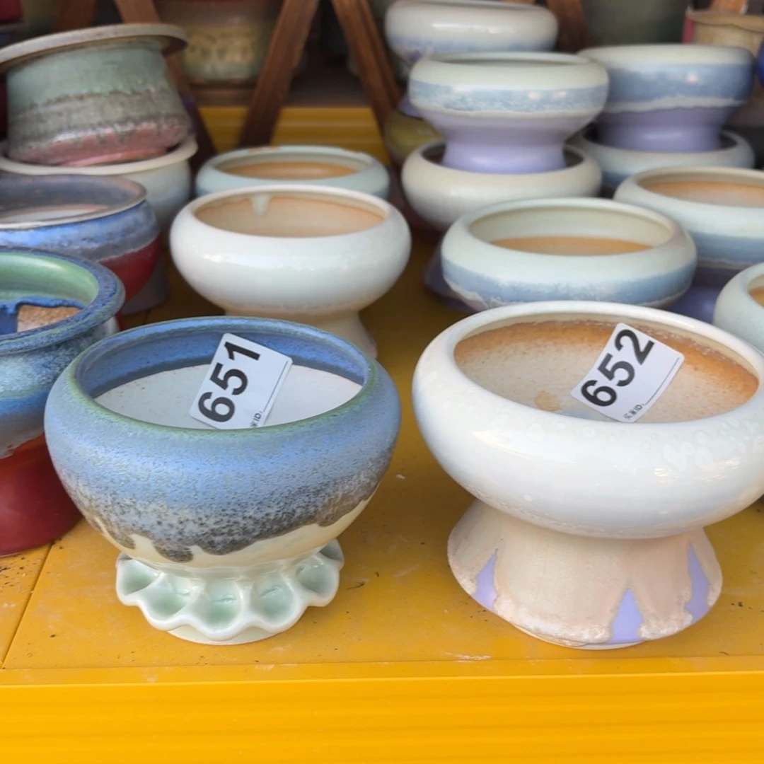 D****-景德镇多肉花盆651+652