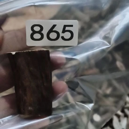 博***览鹿角鹿角鹿角鹿角鹿角鹿角