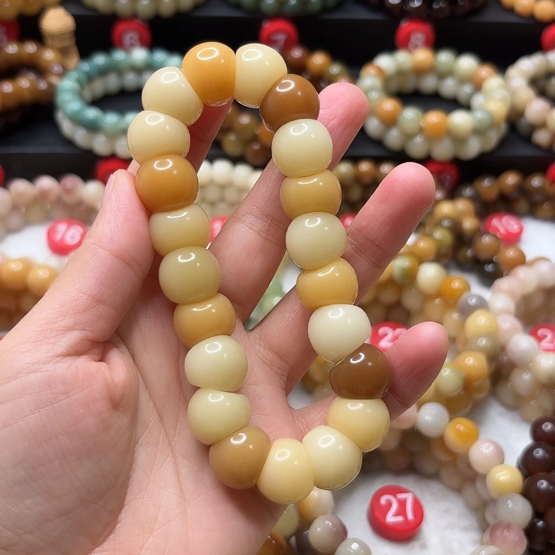 菩提根/象牙果手串大肠