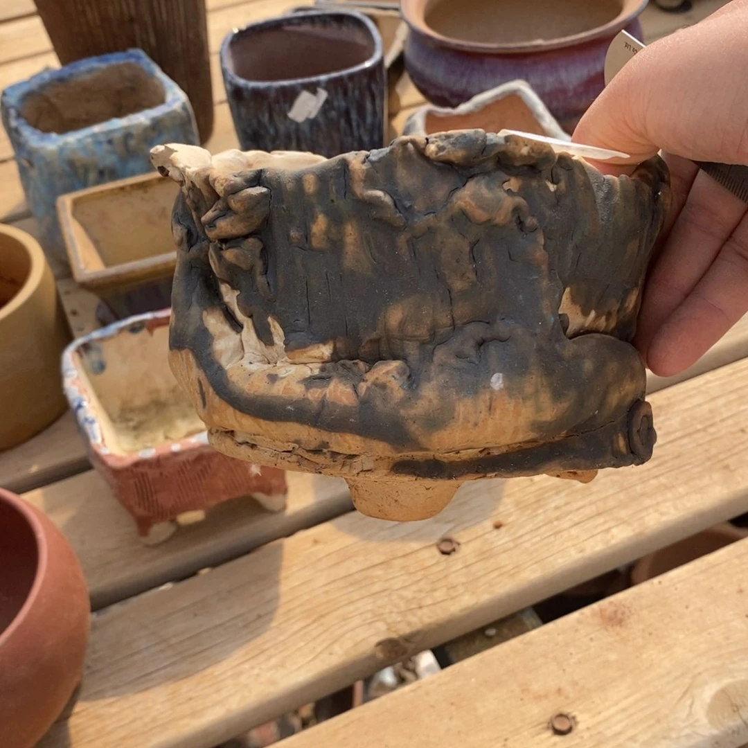 红陶丫*31号多肉盆一个呀