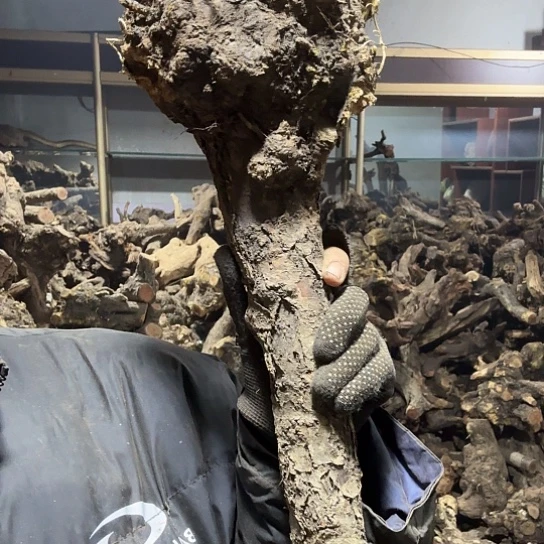 香榧木清****?火琉璃的毛料摆件