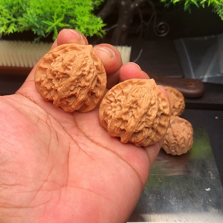 吊坠文玩核桃42梨木台