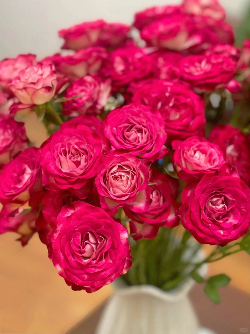 狮子座--多头玫瑰-实物以直播间为准（收到带包装醒花哦）