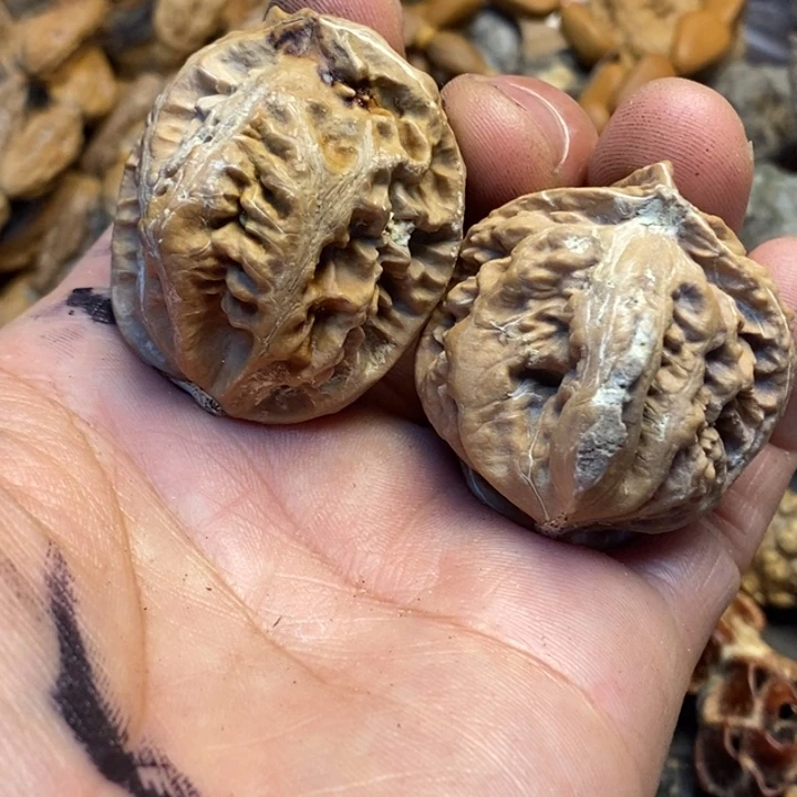 桃核吊坠娜姐真的90