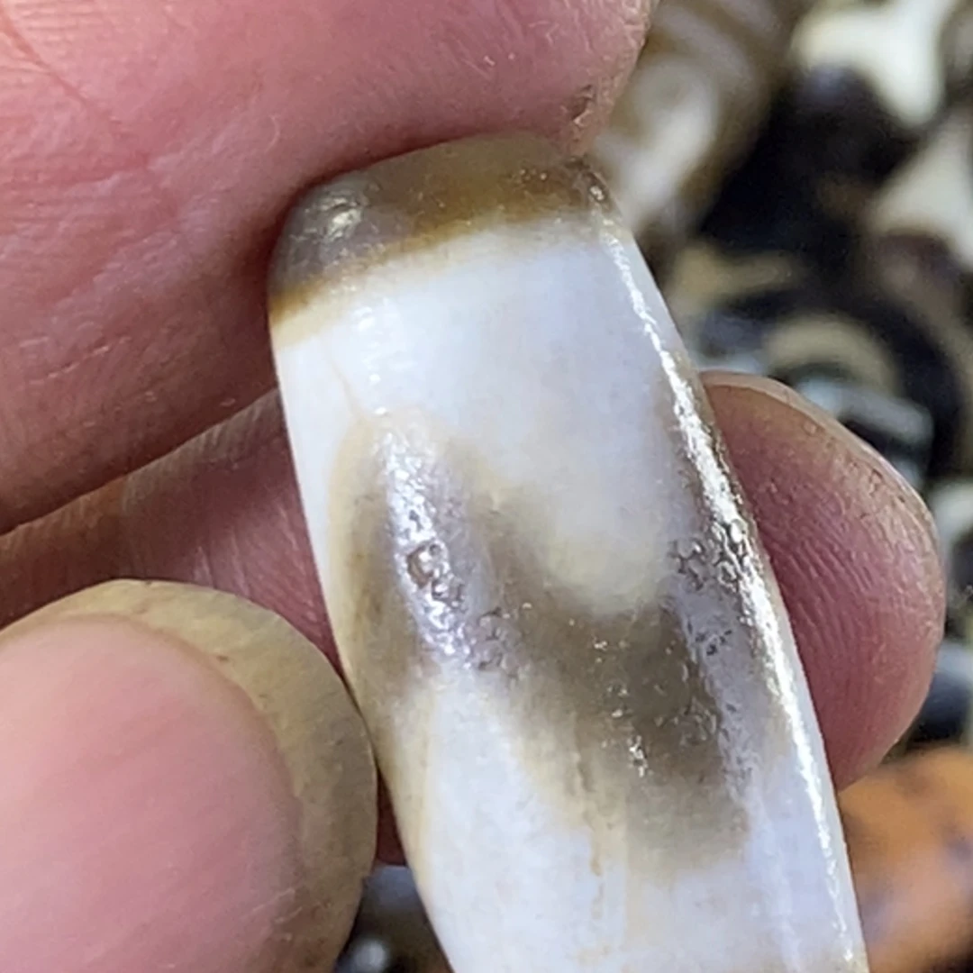 玛瑙/玉髓颈饰未镶嵌行运灰皮牙牙