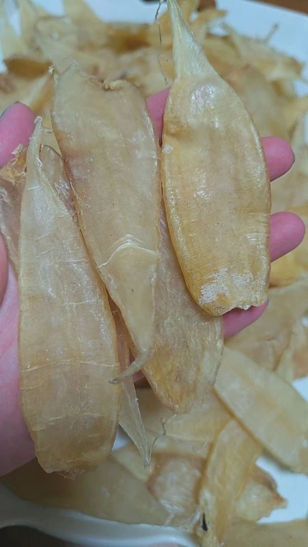 鱼胶直播现场称重计价竞拍