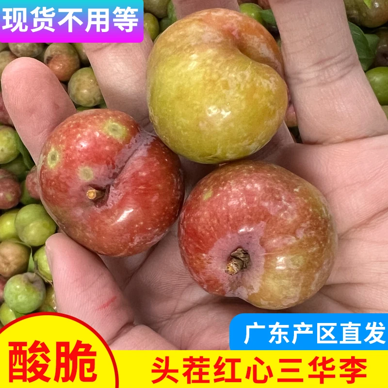 【现货】广东三华李红心李酸涩爽脆李子新鲜当季应季水果早红心李子