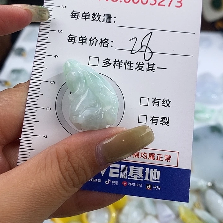 翡翠未镶嵌颈饰5273