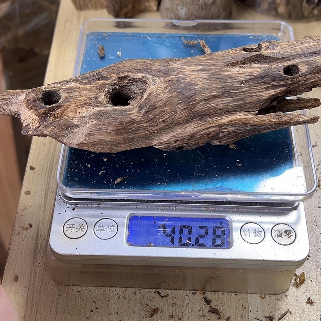 香料绿奇楠虫漏46克乌身