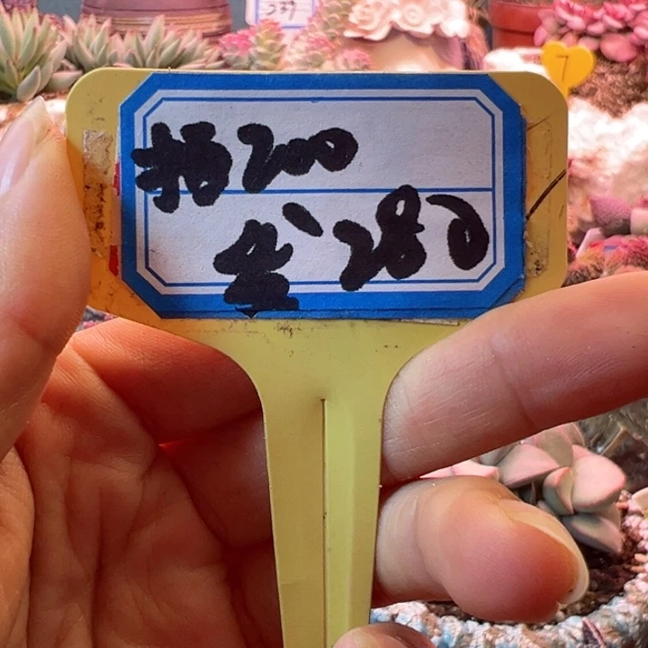 温***L可以说是一种生活方式了吗