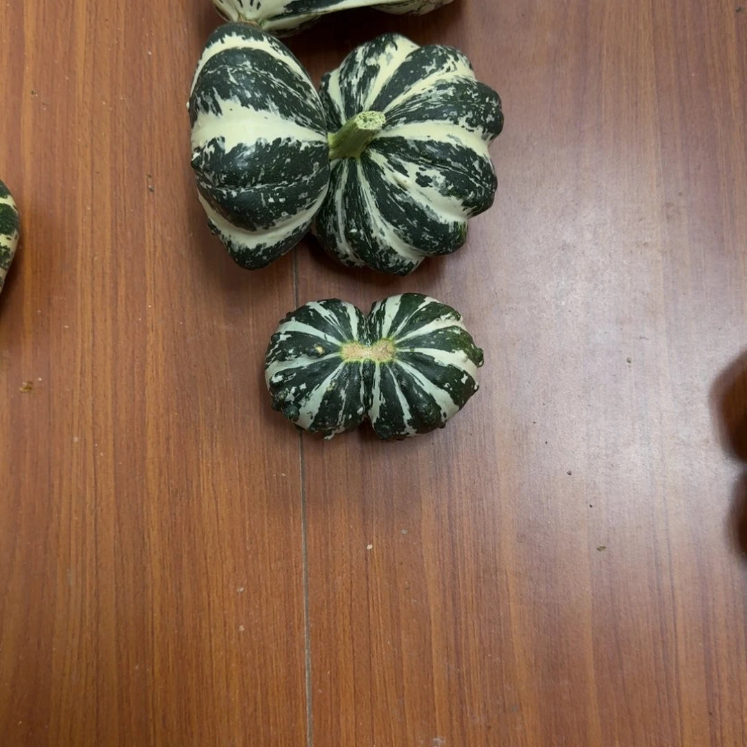 A***金葫芦啊啊啊啊啊啊啊啊啊