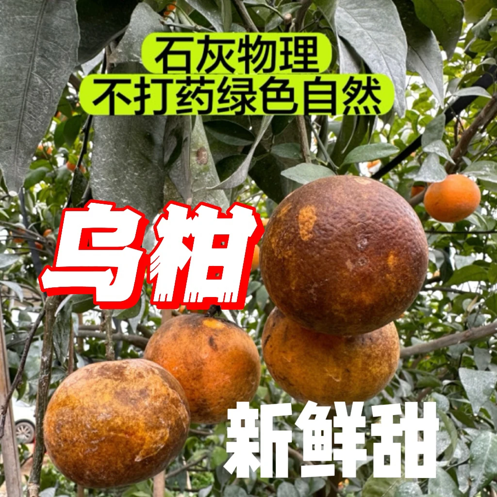 A【乌柑】高品质不卖次果不泡保鲜不打蜡带石灰广西武鸣沃柑爆汁甜