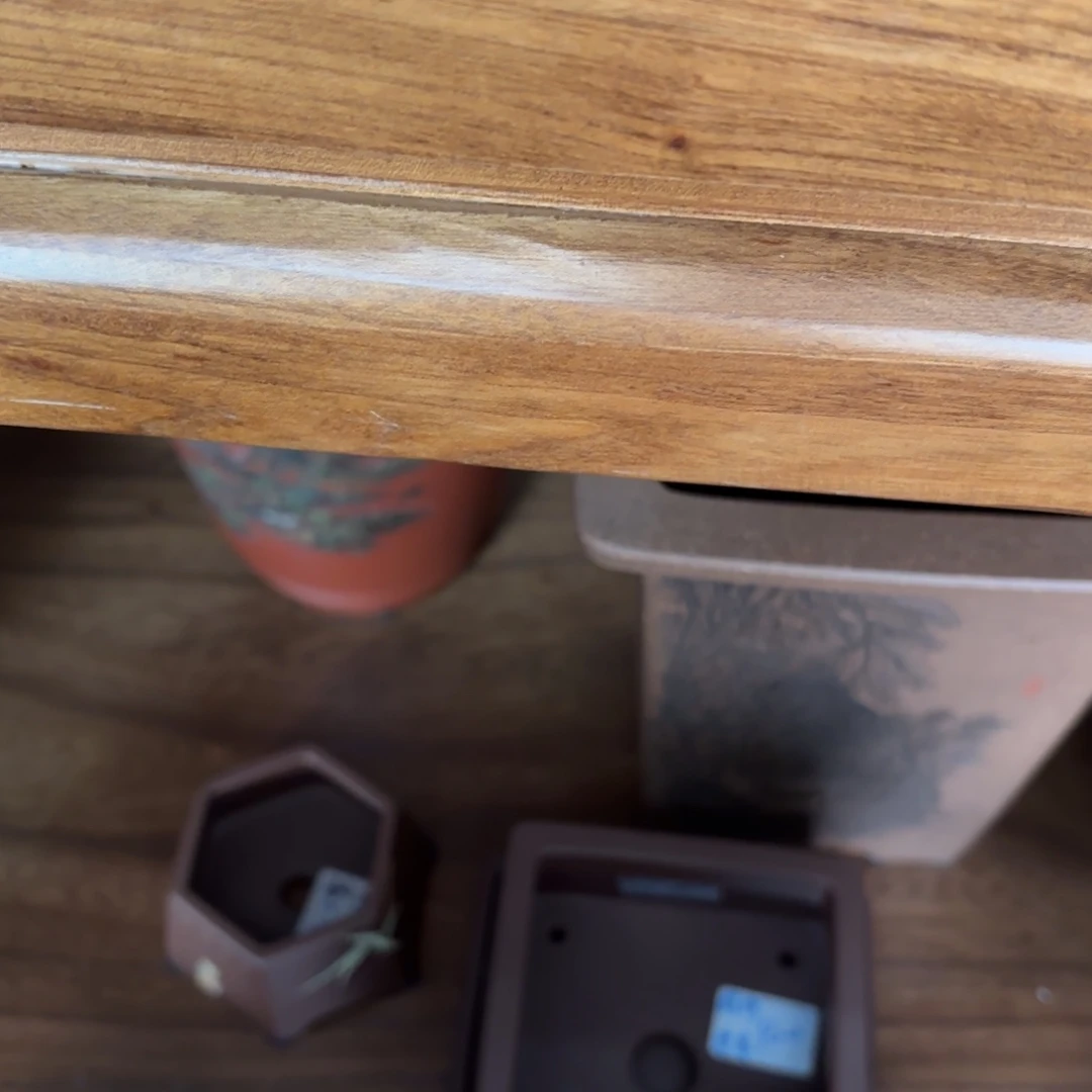 露***娜正宗高温手工花盆