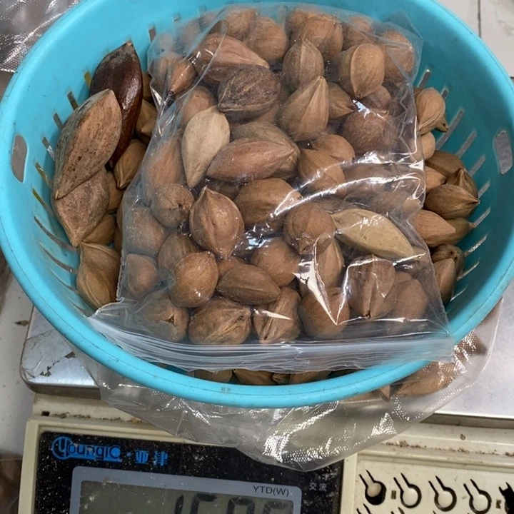 吊坠橄榄核【****】打包