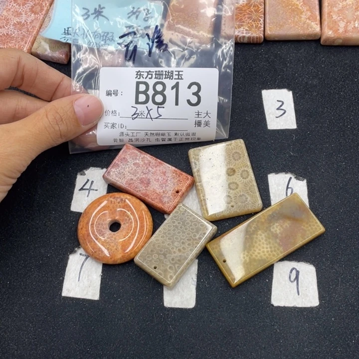 硅化珊瑚（珊瑚玉）颈饰合金云*