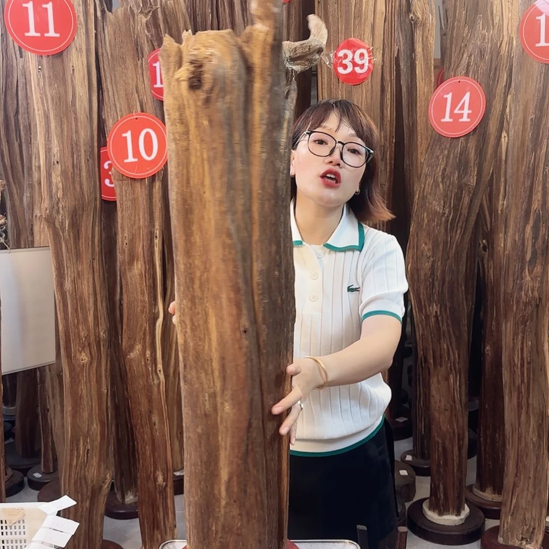 沉香碎屑沉香沉香多样性发一件76