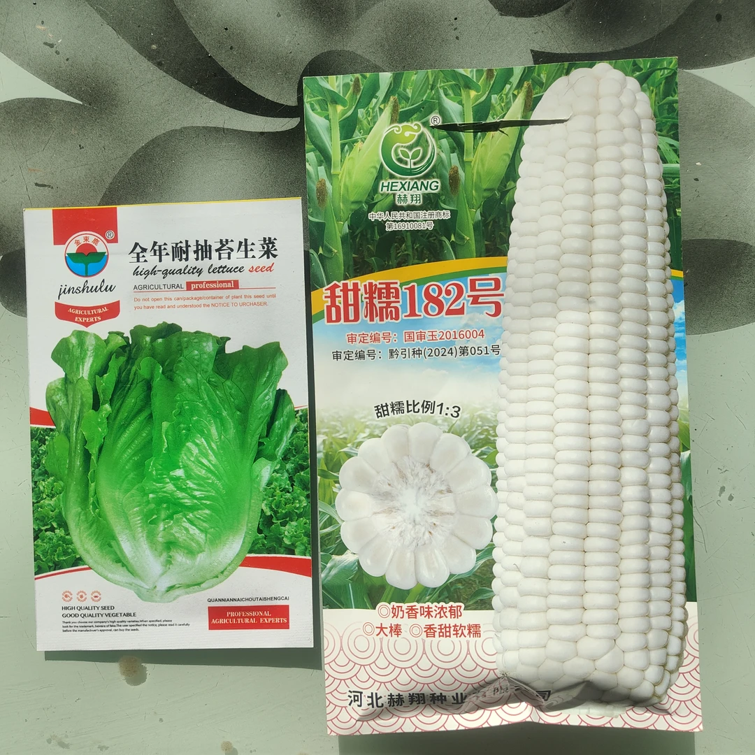 （甜糯182）送生菜种子