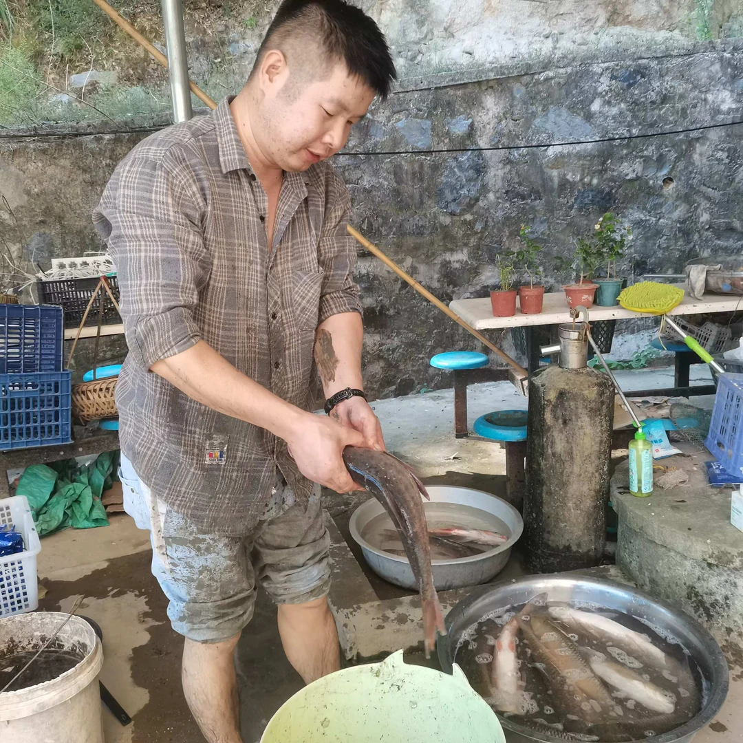 自已家 农家 新鲜【连接多退少补】