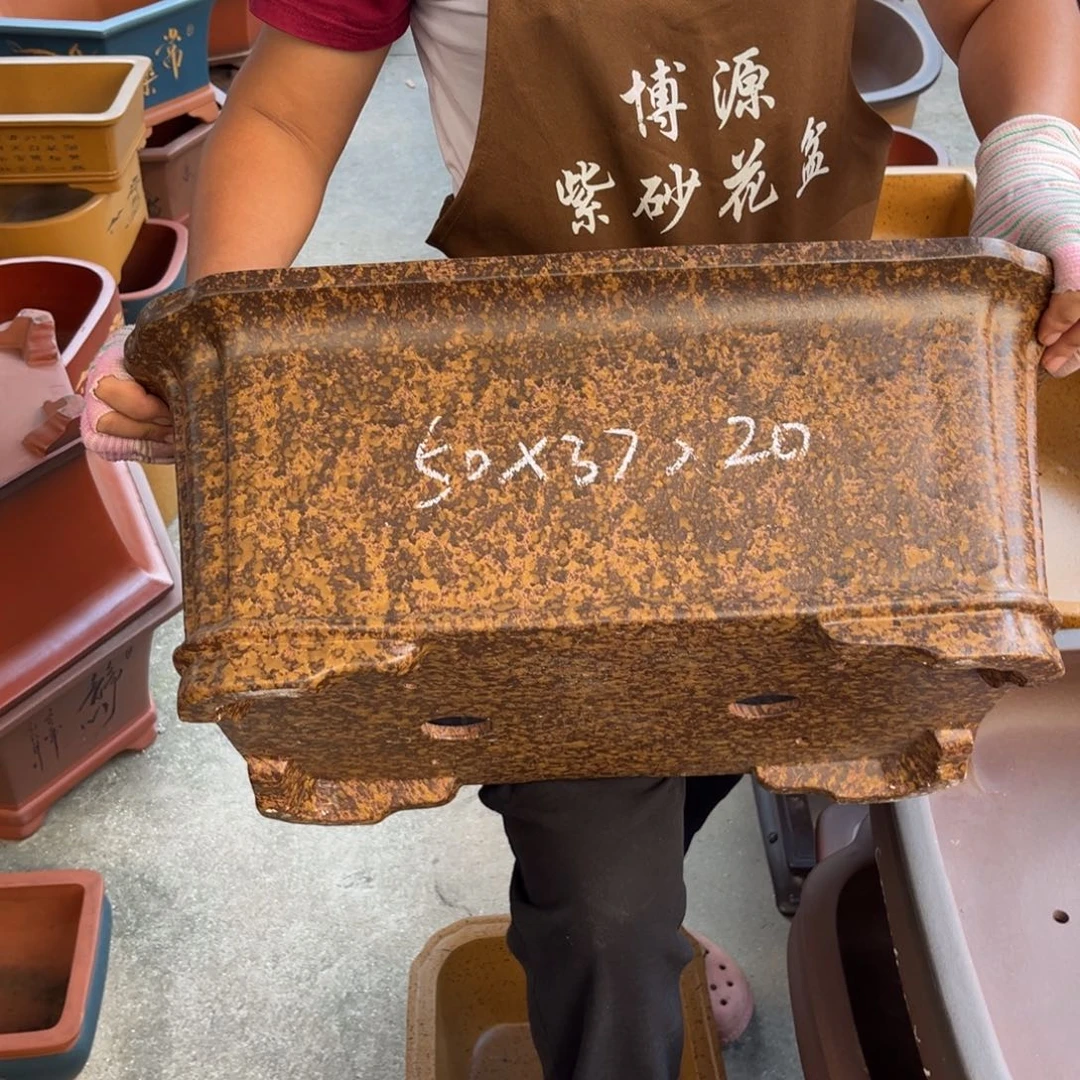 花盆紫砂盆景艺术